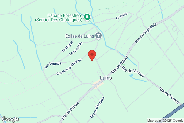 Château de Luins