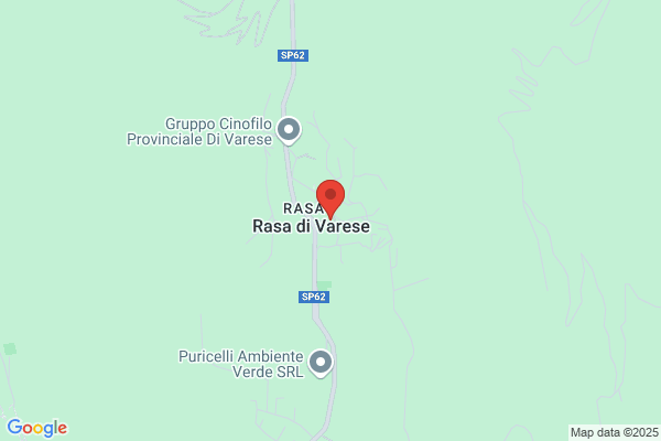 Ristorante-Pizzeria San Gottardo