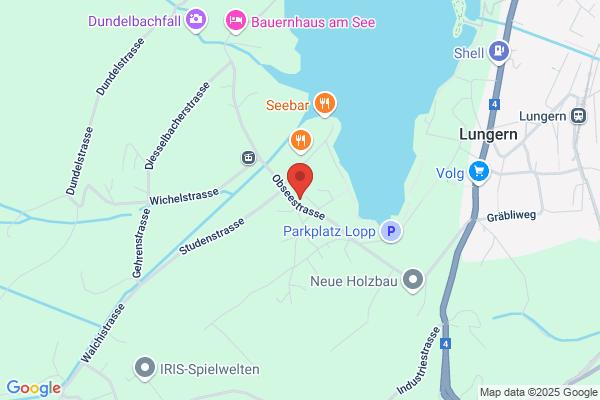 Druck + Media-Service AG