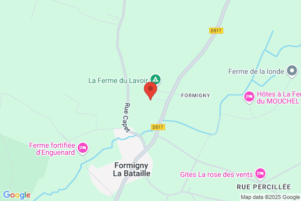 Du gazon à la forêt