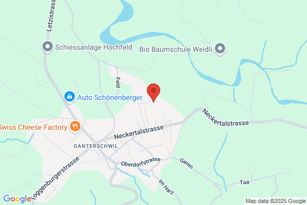 Langenegger Elektrosysteme