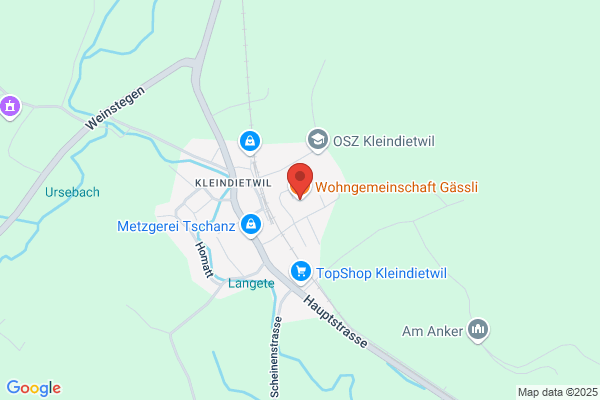 Wohnheim Gaessli AG