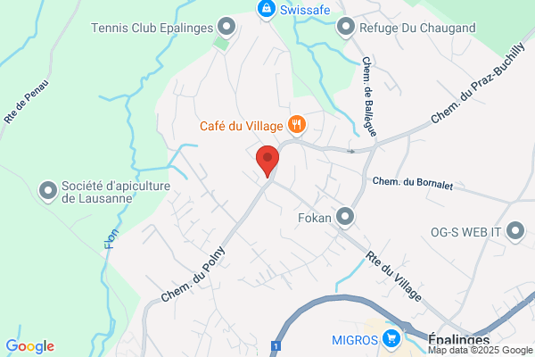 Collège du Village