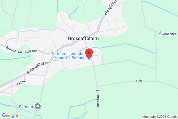 Gärtnerei Leonotis Hauert + Balmer AG