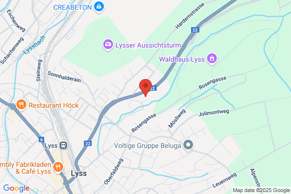 Informatikschule Lyss Moser