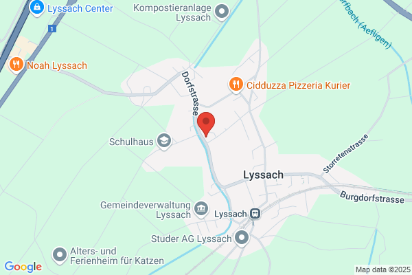Flükiger Inneneinrichtungen
