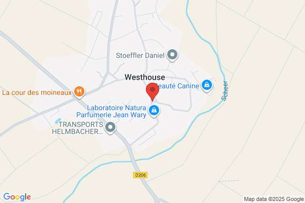 TEAM + transports