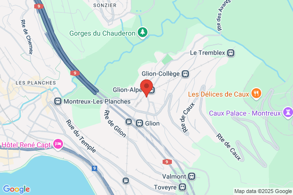 Hôtel des Alpes Vaudoises