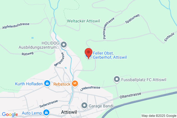 Bruno Gerber