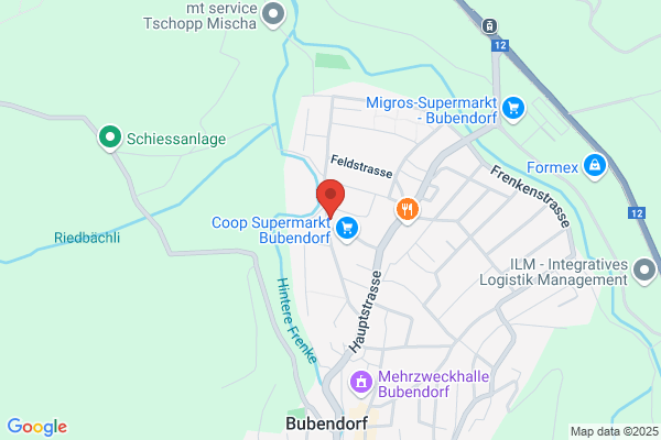 Bubendorf Logistics Consulting