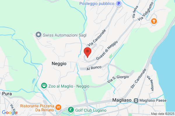 Cleaning Car
