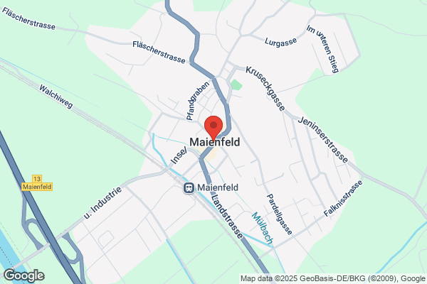 Elektrizitaetswerk Maienfeld AG