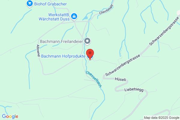 Jost Bachmann