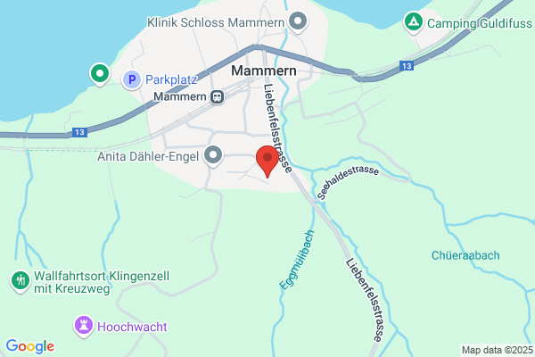 Intertrede AG
