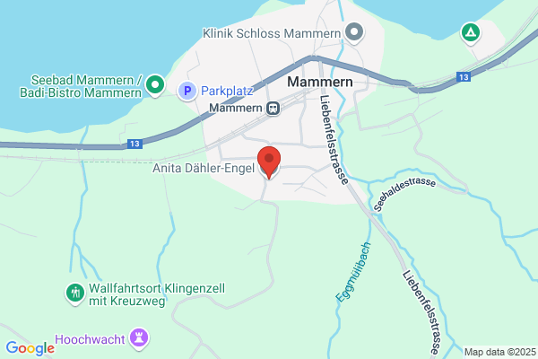 lic.iur. Patrik A. Haeberlin