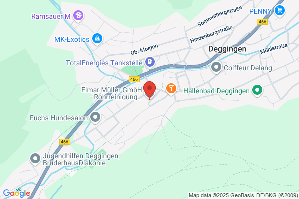 Elmar Mueller