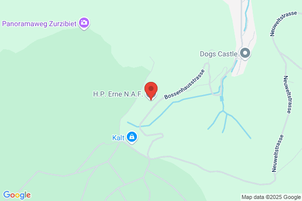 H.P. Erne N.A.F. GmbH