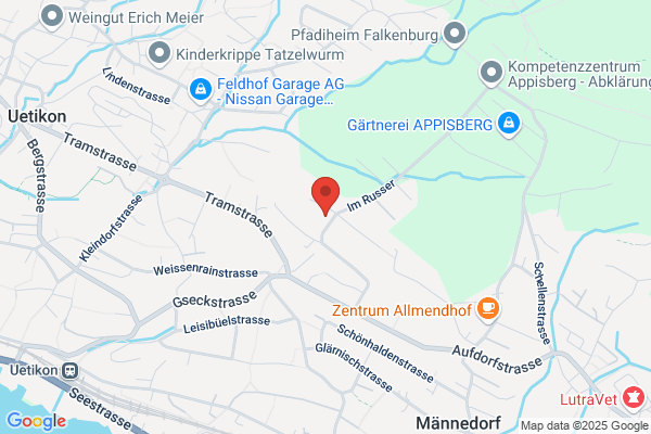 Luzimo 'B' Immobilien AG