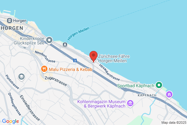 Zuerichsee-Faehre Horgen-Meilen AG