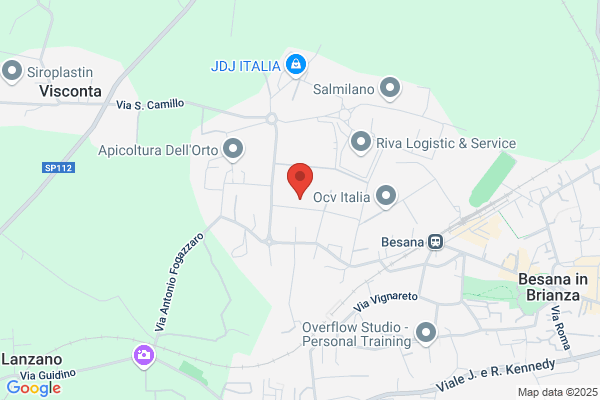 Puricelli Onrest web services