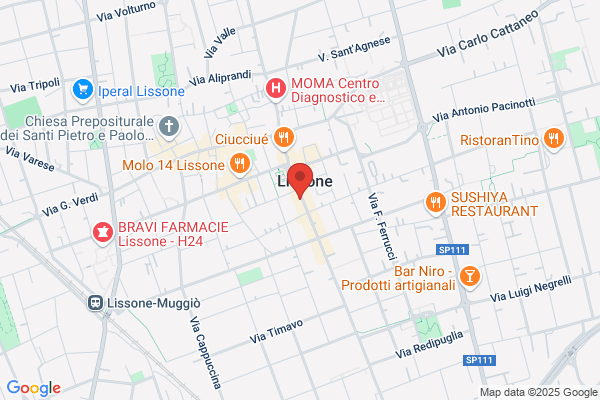 Ristorante Lisone