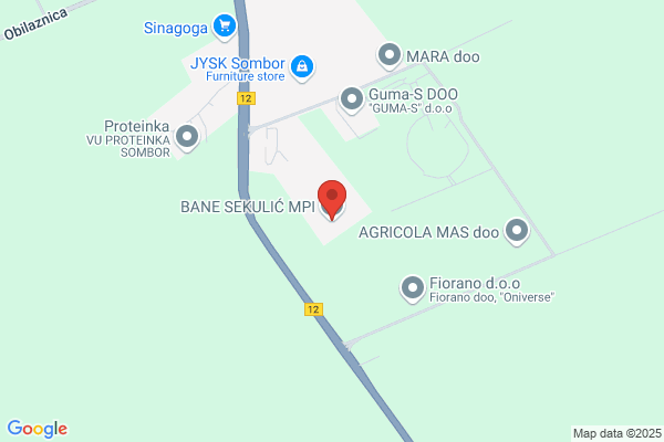 Bané Sekulic