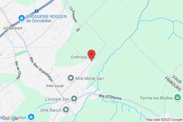 Ordinata