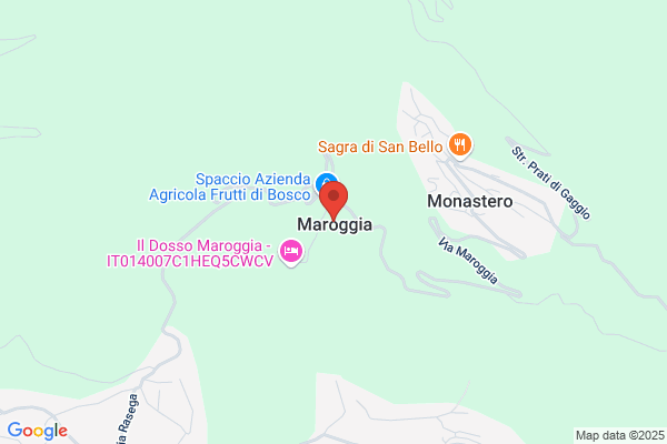 Gaddo Melani