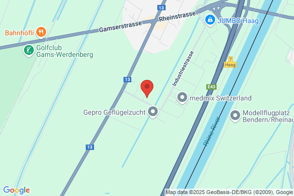 Suedostschweiz Print AG