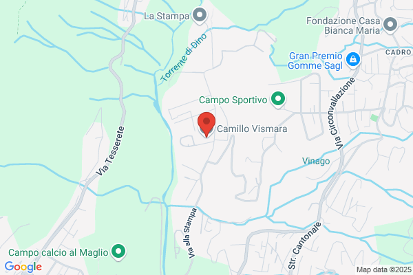 Camillo Vismara SA