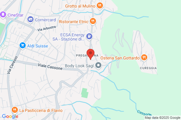 NID POWER LIMITED, London Lugano branch