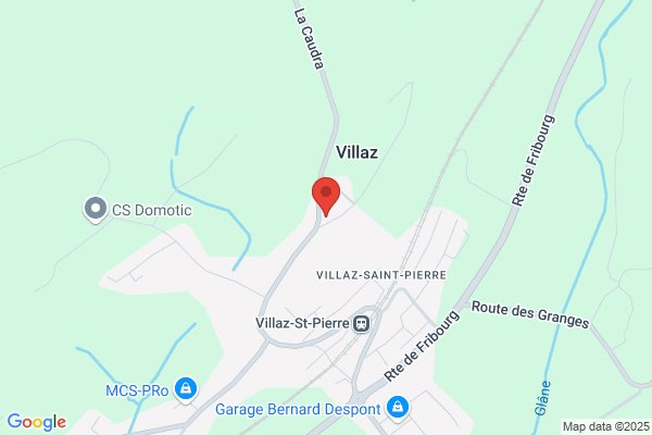 Georges Sallin