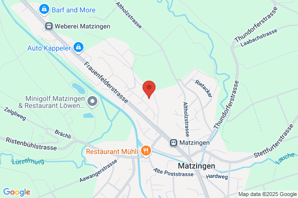 Nino Bernasconi