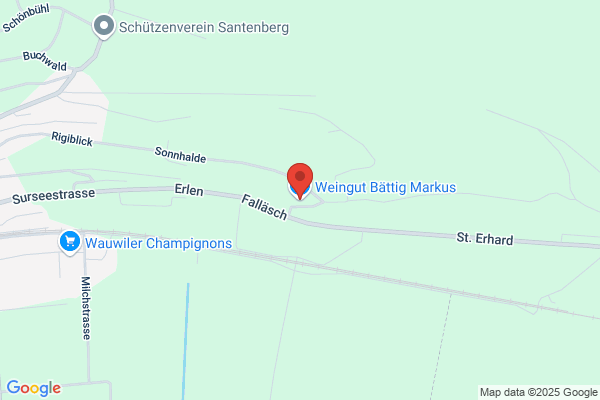 Weingut Bättig Markus