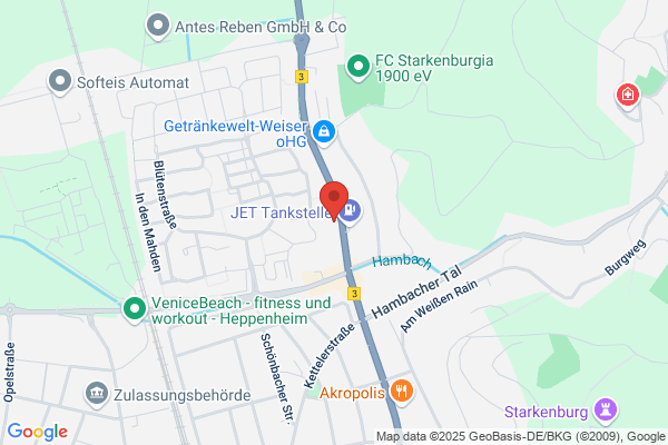 Baumpflege-Gallusser