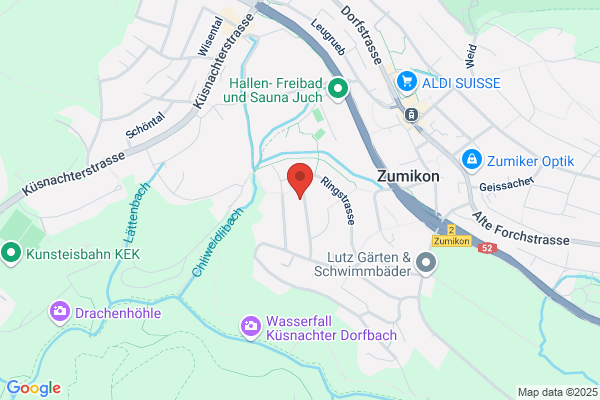 Paedagogischer Verlag des Lehrervereins Zuerich