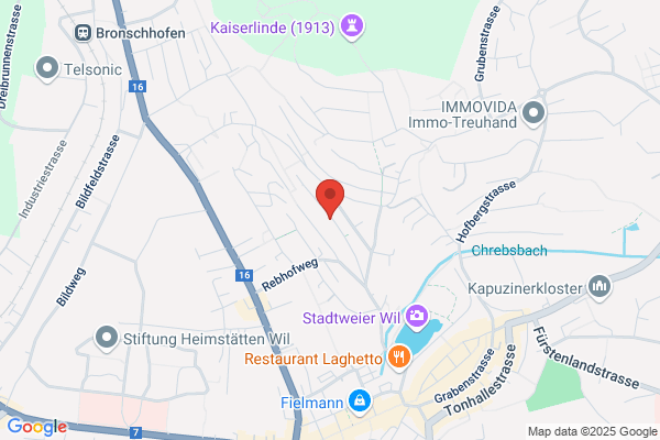 Merz Informatik AG