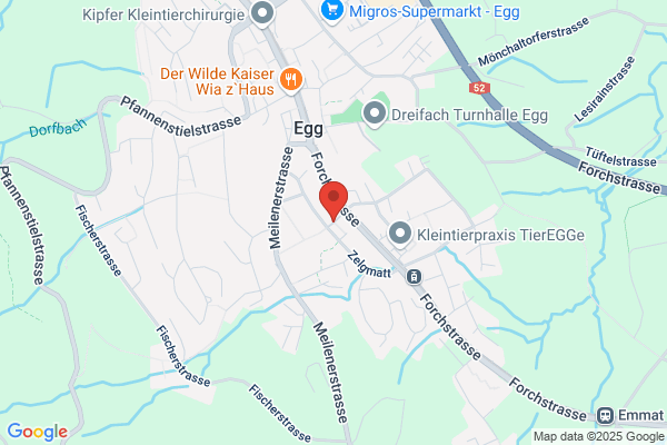 Tauber