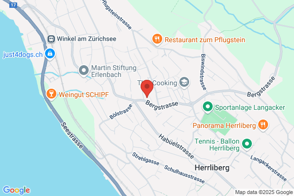 Martin Stiftung