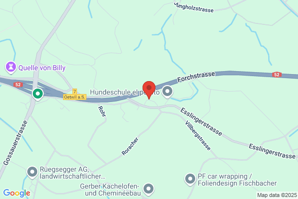 Fritschi Treuhand GmbH