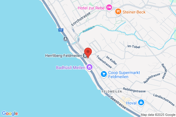 N. Laeuchli Antikschreinerei