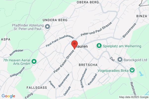Bauer Maler und Gipsergheschaeft