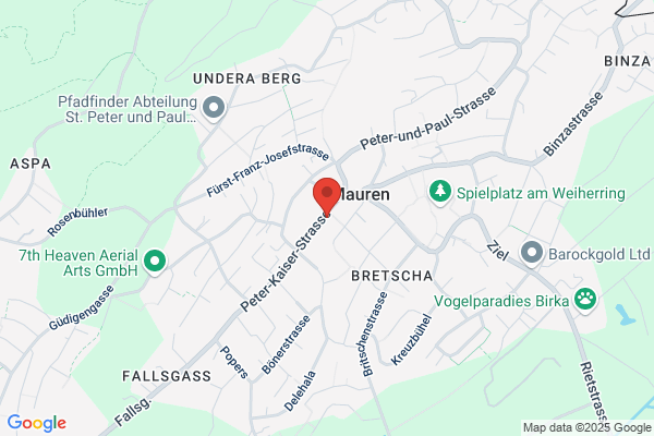 Hasler's Denner Satellit AG