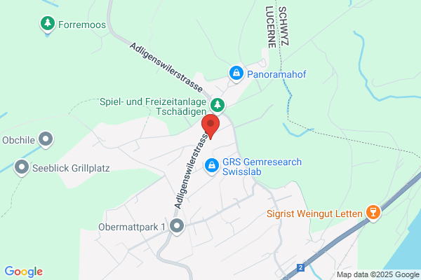 Dynamic-Net.ch AG