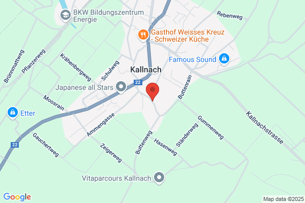 Tennis-Wettkampfschule