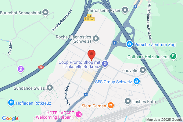 ASIS Consulting Schuepfer