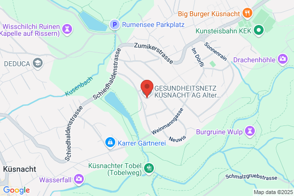 Gesundheitsnetz Küsnacht