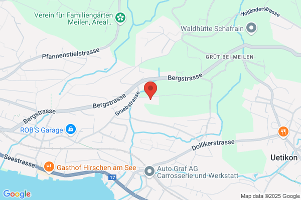 Werthmüller Gartenbau GmbH