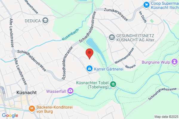 Zürichsee Taxi- und Limousinenservice GmbH
