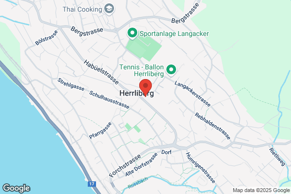 Preisig Consulting